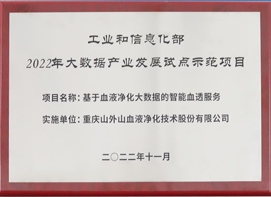 行业唯一！山外山公司入选“2022年大数据产业发展试点示范项目”